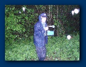 Mum - was this your idea?